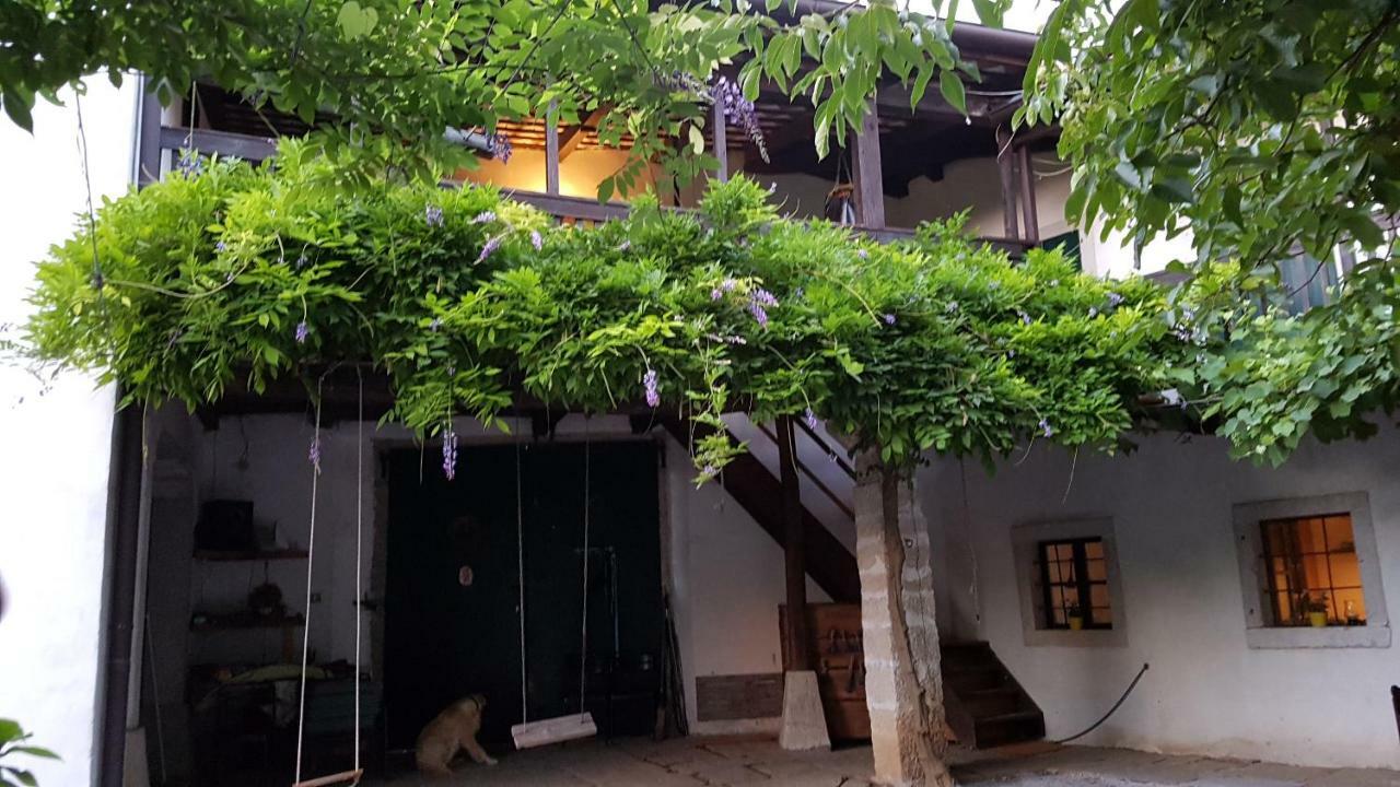 Apartmaji Hedera Komen Εξωτερικό φωτογραφία